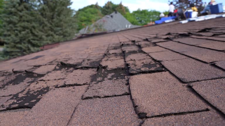 Best Roof Leak Repair  in Kootenai, ID